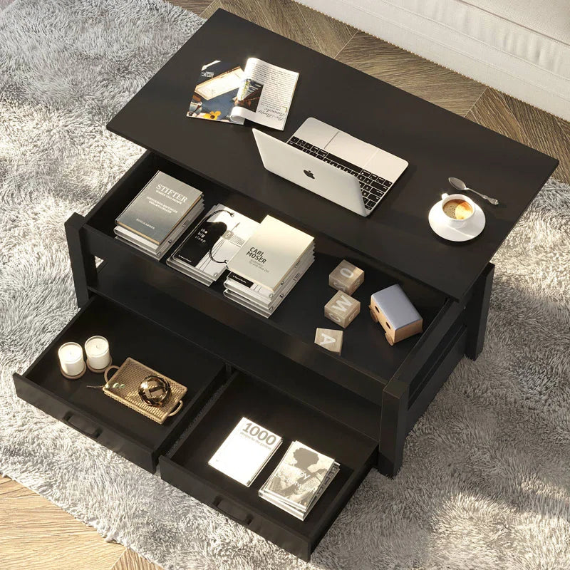 Eoghan Lift Top Coffee Table with 2 Drawers