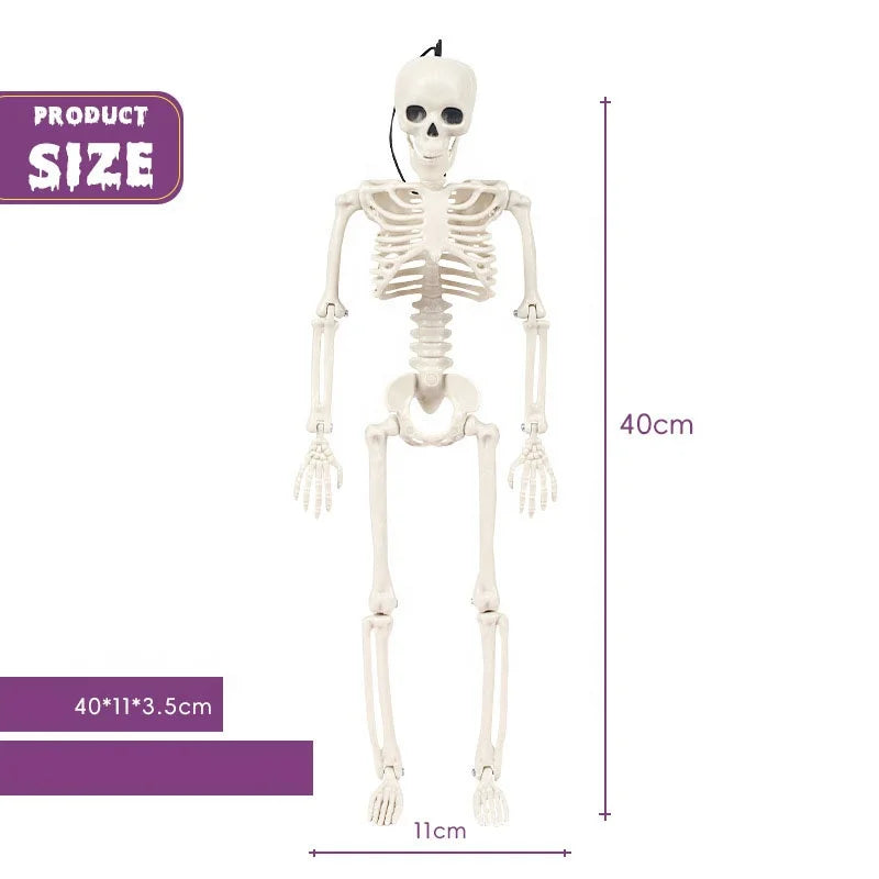 Cross Border Halloween Skeleton Model Garden Party Decoration Props Haunted House 40Cm Skeleton