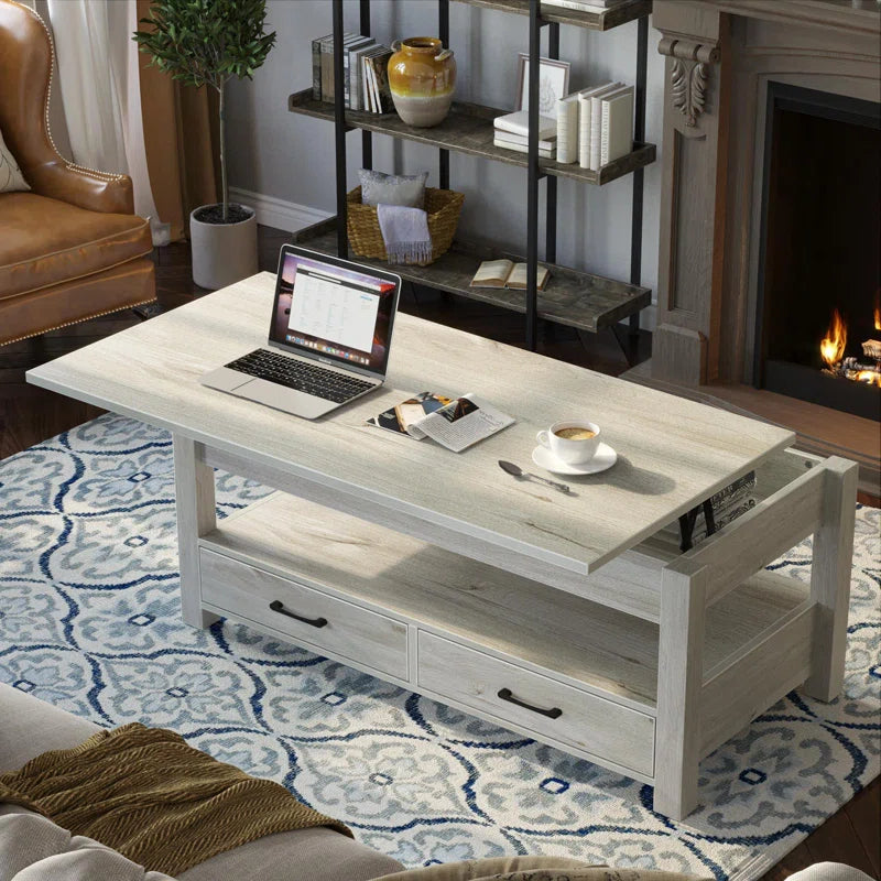 Eoghan Lift Top Coffee Table with 2 Drawers