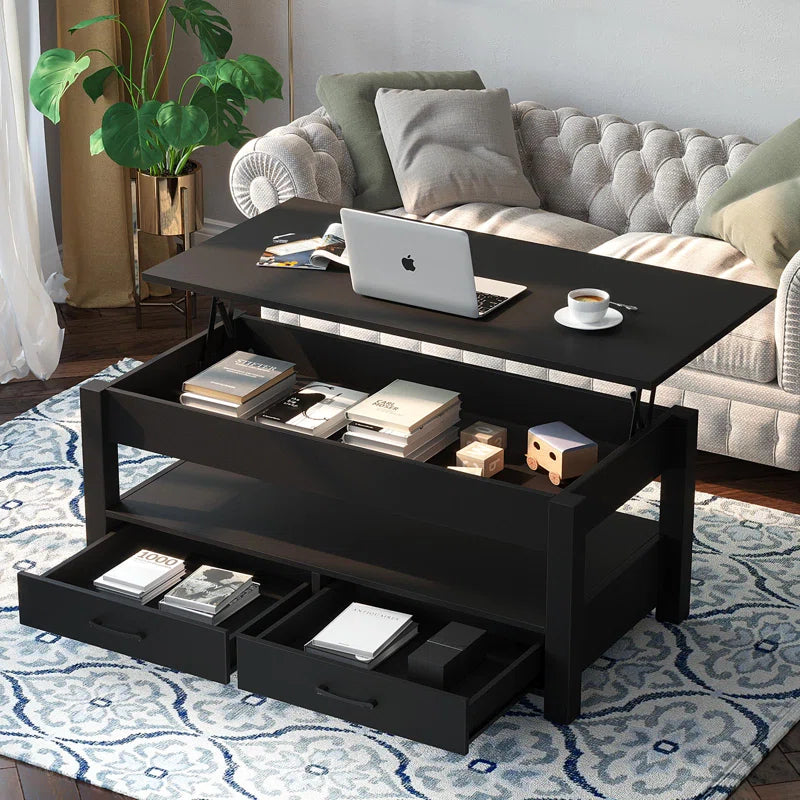 Eoghan Lift Top Coffee Table with 2 Drawers